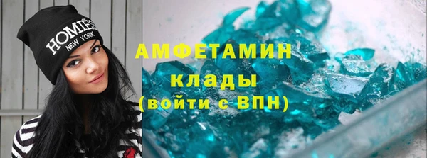 прущие грибы Осинники