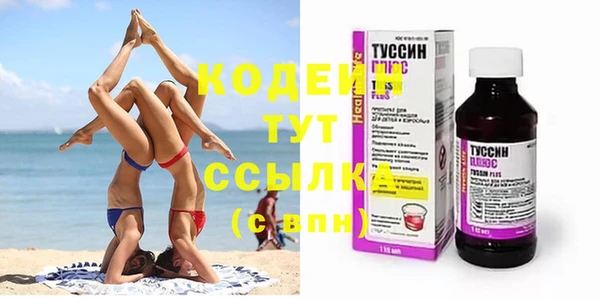 прущие грибы Осинники