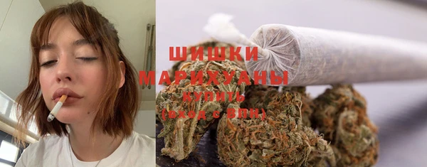 прущие грибы Осинники