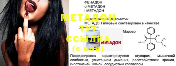 прущие грибы Осинники