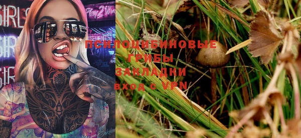 твердый Осташков