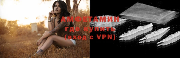 прущие грибы Осинники