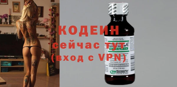 прущие грибы Осинники