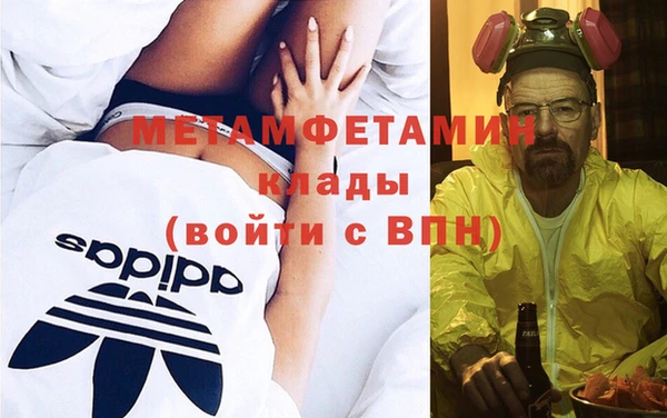 прущие грибы Осинники