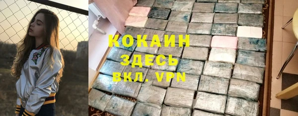 твердый Осташков
