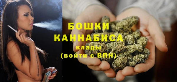 прущие грибы Осинники
