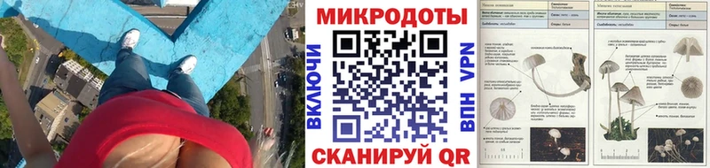 mega ONION  Приморск  Галлюциногенные грибы Cubensis 